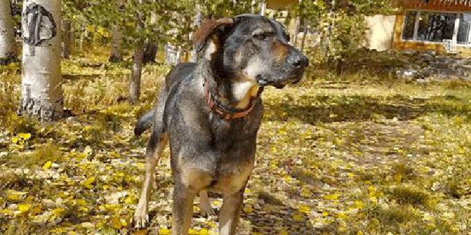 Cooper’s Story