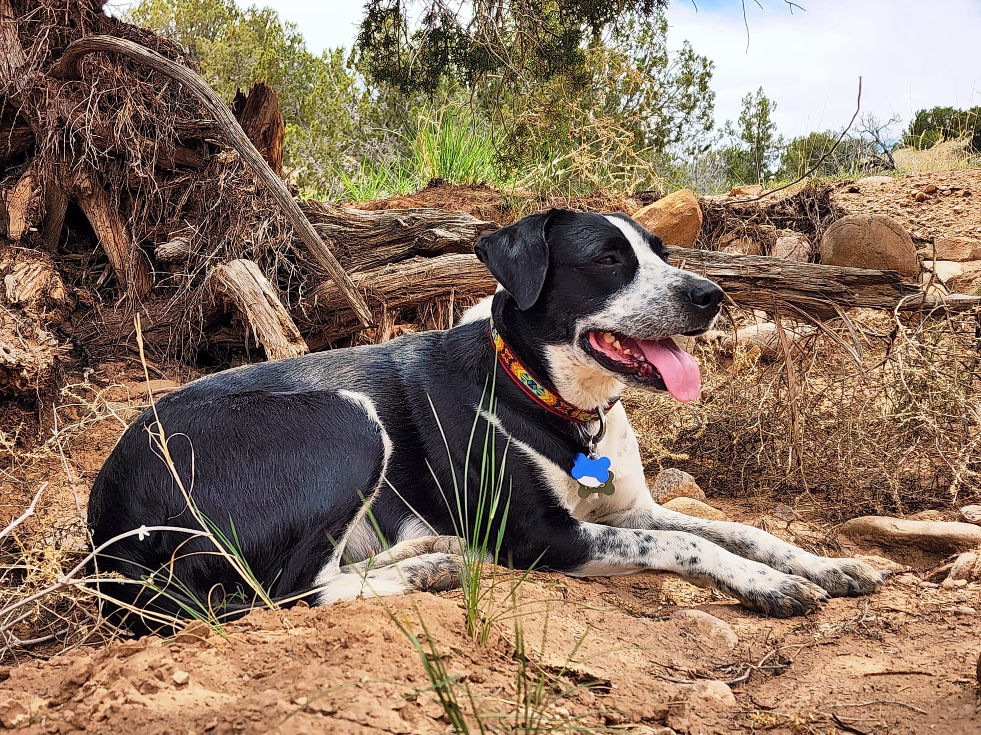 tess-bailey-2
